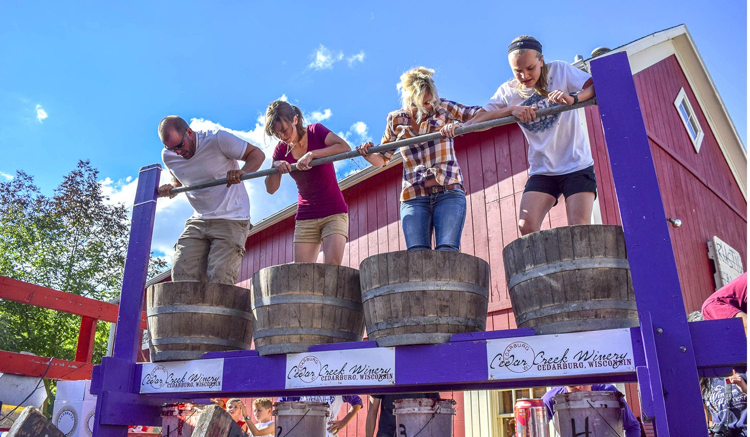 cedarburg wine harvest fest.jpg